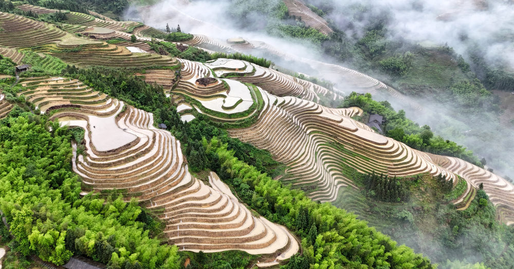 2024年5月19日,在广西桂林市龙胜各族自治县龙脊梯田景区拍摄的云海