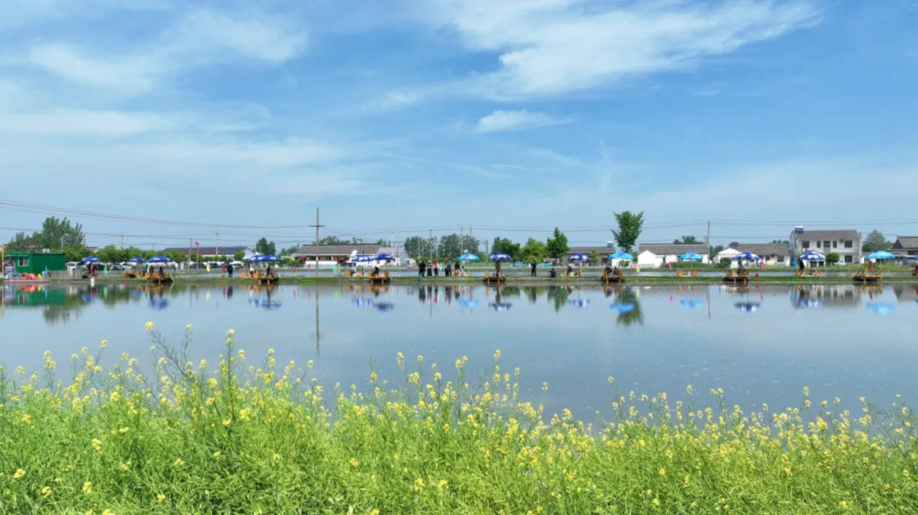 振兴路上丨盐城盐都:小龙虾"钳"来新"钱"景