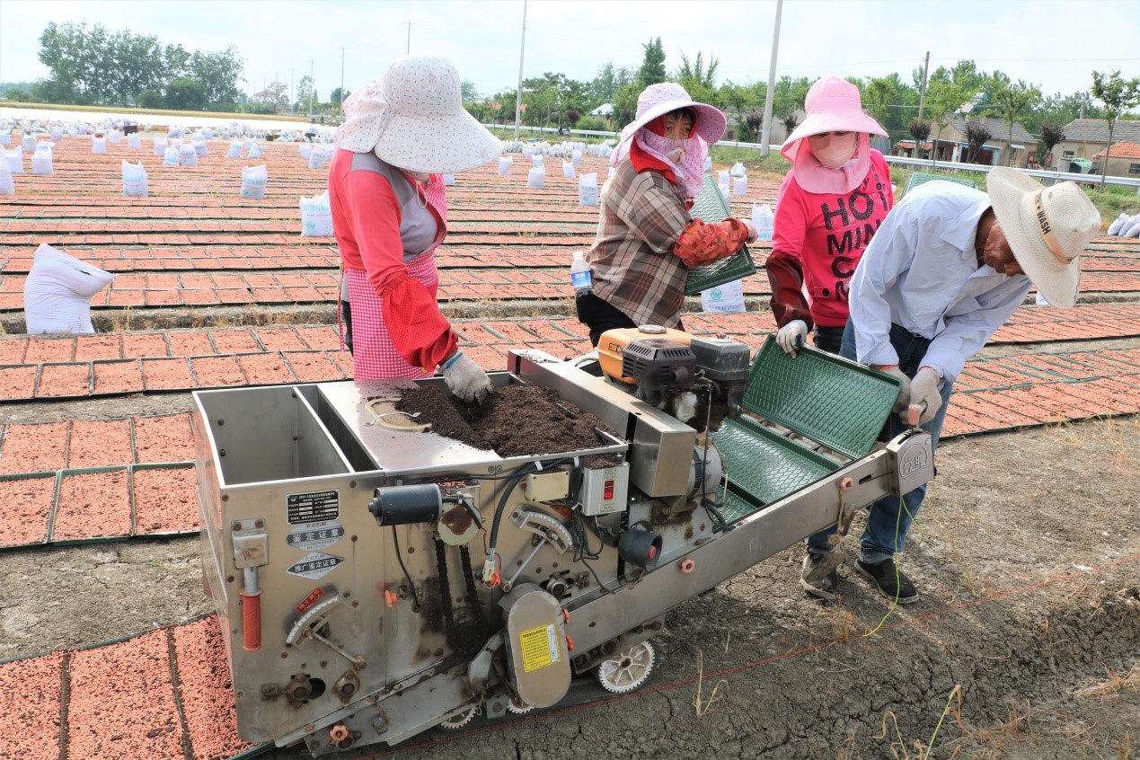 现场,光明村种粮大户孙建在使用自走式水稻秧盘播种机进行水稻育苗.
