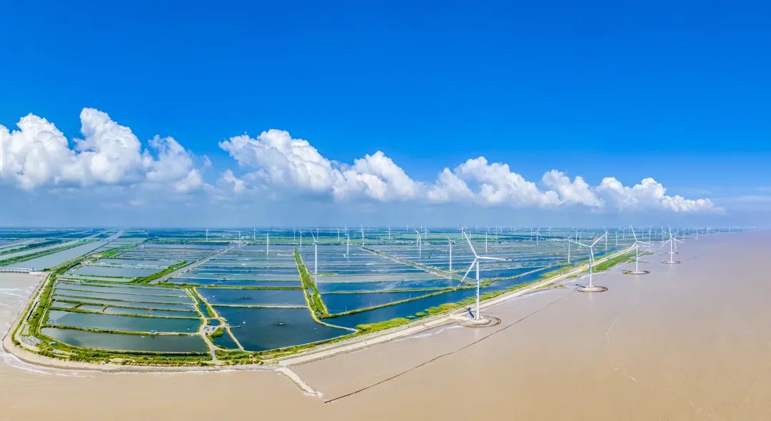 早在20世纪初,民族实业家张謇就在这里废灶兴垦,将寸草不生的盐碱地