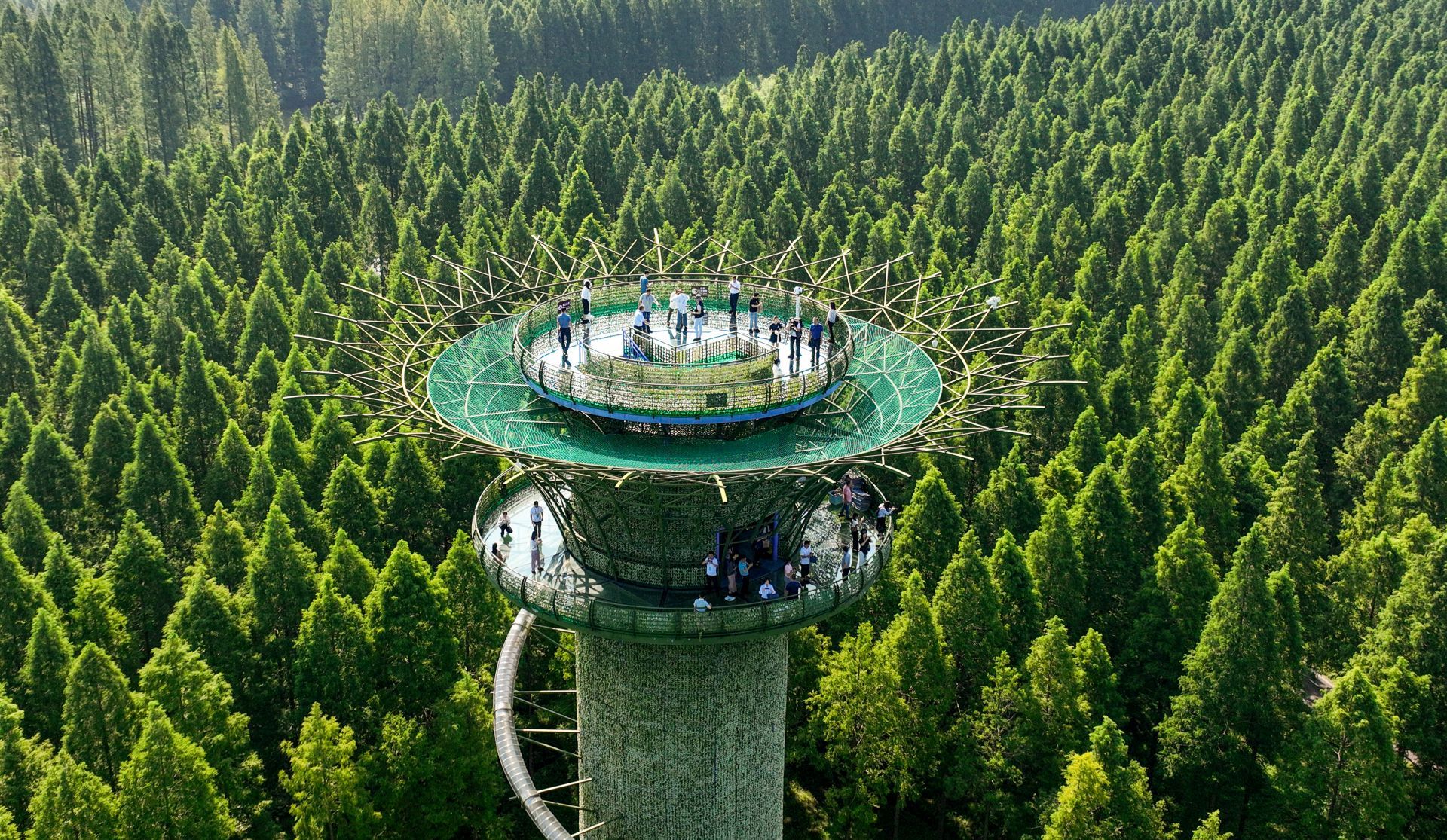 四色辉映看盐城 | 绿色湿地文化,绘就壮美生态画卷