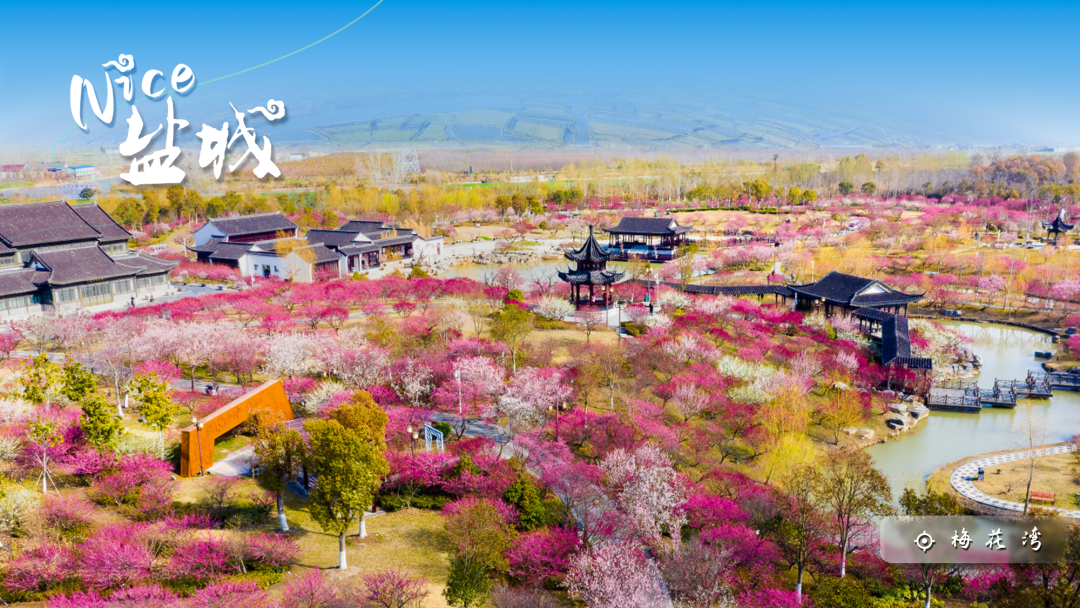 1亿!盐城,含"金"量十足