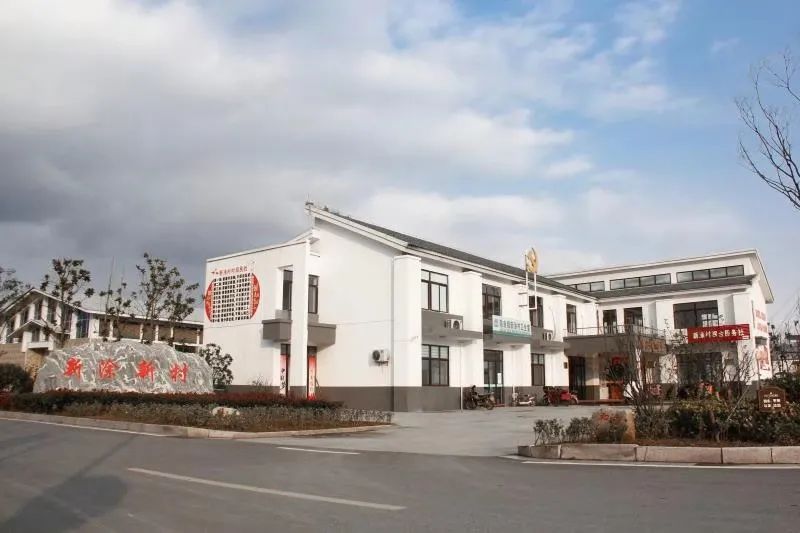 建党百年百佳示范党支部典型案例展播⑥阜宁县陈良镇新涂村党总支