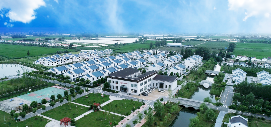 建党百年百佳示范党支部典型案例展播④盐都区大冈镇佳富村党总支