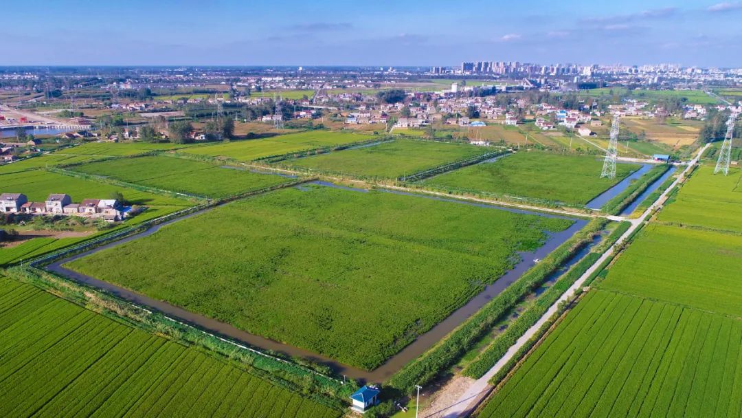 建党百年百佳示范党支部典型案例展播83滨海县天场镇秉义村党总支