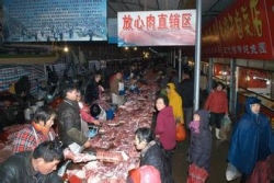 春节市场供应充足  50余种蔬菜想吃啥吃啥