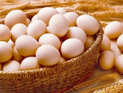 市场供大于求 市区良种鸡蛋价格每公斤跌至5元