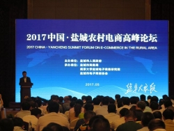 共探发展之道 中国·盐城农村电商高峰论坛举办