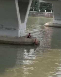 盐城一女子不慎滑入大河中 幸亏遇到“游泳健将”