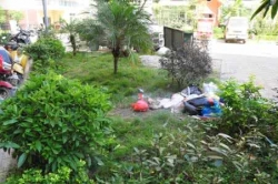 垃圾藏身绿化带难清理 保洁员希望居民尊重他们的劳动