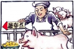 生猪屠宰监管启动“扫雷行动” 确保猪肉产品质量安全