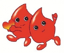 献血98次！盐城“献血达人” 赴宁捐献造血干细胞