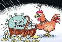 今年秋季起，盐城全面开展家禽H7N9免疫计划