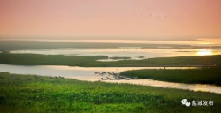 盐城湿地保护获国际认可！刚刚，《盐城倡议》推动黄（渤）海湿地申报世界自然遗产