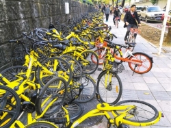 深圳半年28万人次被禁骑 共享单车未来要“上牌 ”