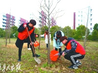 参与义务植树 共建绿色家园