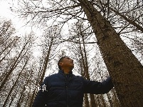 三峡移民23年种植一片林