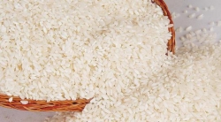 扬长大米品牌优势 射阳打造百亿稻米产业集群  