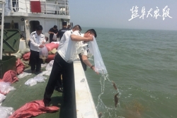 3200多万尾鱼虾蟹苗放流黄海 改善和修复近海海域生态环境