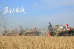 “射阳大米”入选“中国农民丰收节”组委会100个农产品品牌榜单