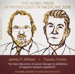 诺贝尔生理学或医学奖揭晓，免疫学家艾利森和本庶佑获奖