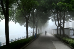 江苏省部分地区出现大雾