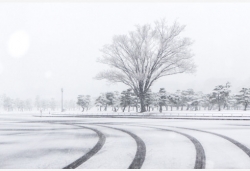 日本迎罕见“暖秋” 北海道打破132年最迟初雪纪录