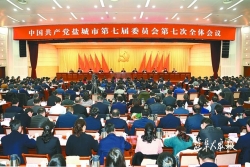 中国共产党盐城市第七届委员会第七次全体会议决议