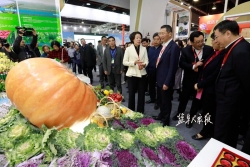 2018盐城名特优农产品（上海）专场推介活动在沪举办