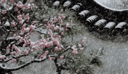 江苏这个地方明天大到暴雪！周三放晴，但最低气温降至-7℃