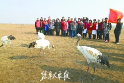 新年伊始，志愿者走进盐城湿地 做宣传拾杂物守护丹顶鹤