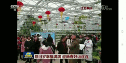 江苏春节黄金周消费升级：销售额约144.5亿元，同比增8.2%