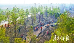全市各地掀起造林绿化新高潮 今年计划新增成片造林13.1万亩
