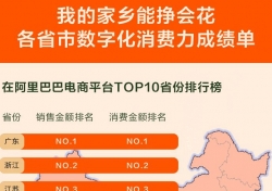 江苏数字消费力超北京上海，位居全国第三