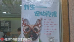 南京某宠物医院可花38万元克隆，让狗狗“重生”！你愿意吗？