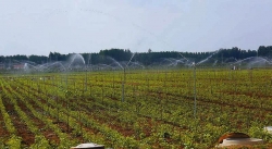 中国水周系列报道之一丨告别“大水漫灌” 盐城农业用水由“浇地”改为“浇作物”