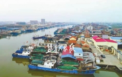 【新时代 新作为 新篇章】黄沙港:国字号渔港高奏蓝色乐章