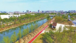 【盐城生态文化走访⑭】景观绿廊：打造城市生活的绿色空间