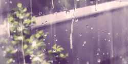 科学应对降雨 水情平稳  盐城夏插用水紧张形势得到缓解