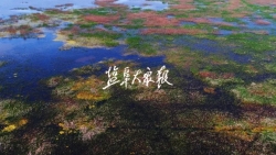 為國(guó)際濕地保護(hù)作出“鹽城貢獻(xiàn)”——鹽城黃海濕地成功申遺引發(fā)熱議 