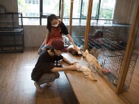 探访曼谷动物咖啡馆