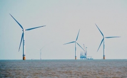 【新时代 新作为 新篇章】大丰黄海：智慧能源——海上风电风景线