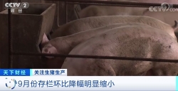 农业农村部：猪肉批发价连续10周下降，每公斤降6元左右