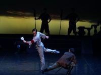 经典芭蕾舞剧《红色娘子军》在京上演
