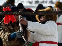 内蒙古雪原上的冬捕
