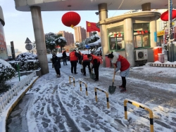盐南高新区新河街道志愿者扫雪忙