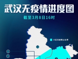武汉新增无疫情小区1027个，总计3021个超过四成