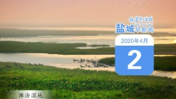 鹽城早新聞4月2日 | 市委常委會暨市委應(yīng)對疫情工作領(lǐng)導(dǎo)小組召開會議；全球確診新冠肺炎827419例