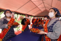 东台镇吕港村举办草莓文化艺术节