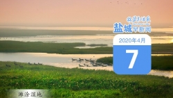 鹽城早新聞4月7日 |中國發(fā)布新冠肺炎疫情信息、推進疫情防控國際合作紀(jì)事；全球確診新冠肺炎超121萬例